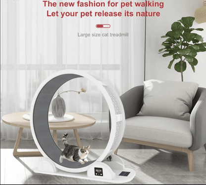 Cat Exercise Wheel - Pavilon Boutiqe