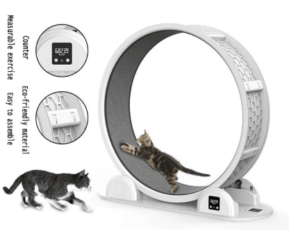 Cat Exercise Wheel - Pavilon Boutiqe